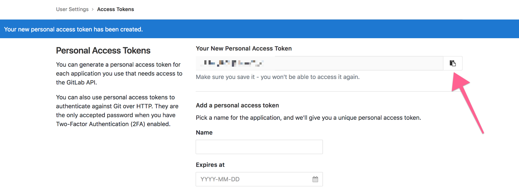 Copy the newly created Personal Access Token