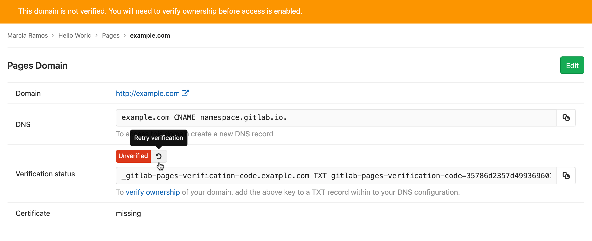 Gitlab Pages Custom Domain Ownership Verification